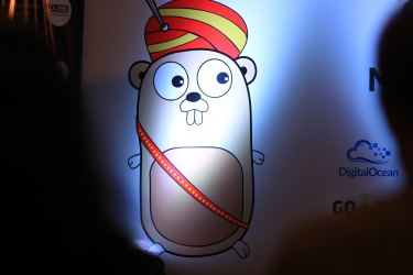 Rekomendasi Framework Golang yang Perlu Dicoba untuk Efisiensi Pemrograman