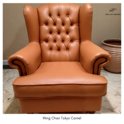 Sekala Wing Chair - Helloilmare